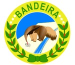 Brasão da cidade de Bandeira