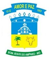 Brasão da cidade de Bom Jesus do Amparo