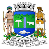 Brasão da cidade de Delfim Moreira