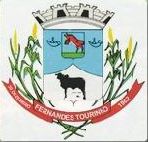 Brasão da cidade de Fernandes Tourinho