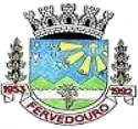 Brasão da cidade de Fervedouro