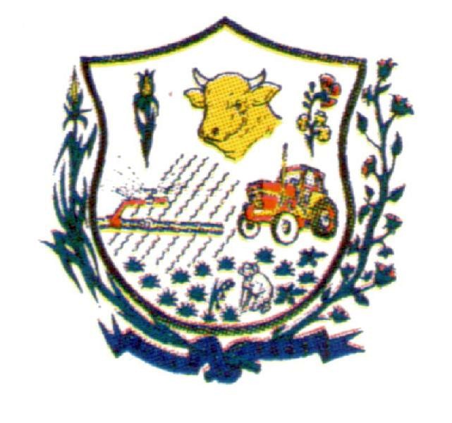 Brasão da cidade de Jaíba