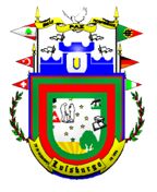 Brasão da cidade de Luisburgo