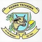 Brasão da cidade de Pedro Teixeira