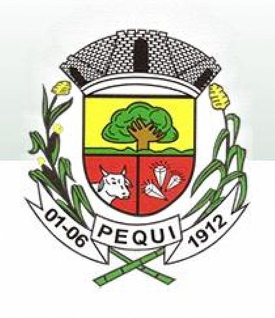 Brasão da cidade de Pequi