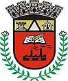 Brasão da cidade de Pitangui