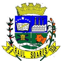 Brasão da cidade de Raul Soares