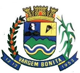 Brasão da cidade de Vargem Bonita