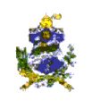 Brasão da cidade de Floresta
