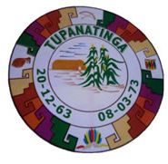 Brasão da cidade de Tupanatinga