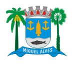 Brasão da cidade de Miguel Alves