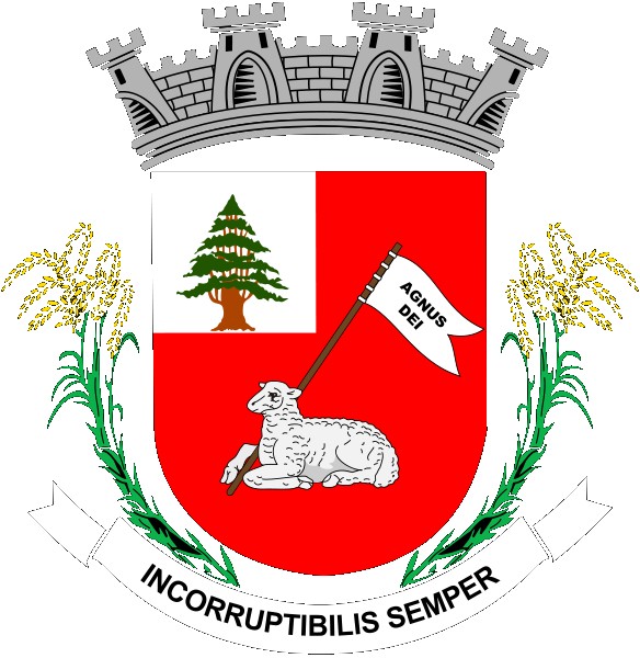 Brasão da cidade de Cedro de São João