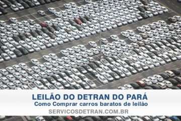 Imagem de vários carros ilustrando o Leilão de Inhangapi(PA)