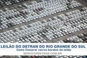 Imagem de vários carros ilustrando o Leilão de Capão do Leão(RS)