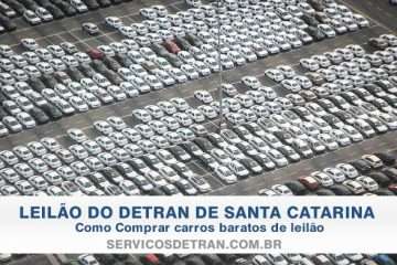 Imagem de vários carros ilustrando o Leilão de Luiz Alves(SC)